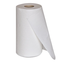 Premium 2-Ply 'Select & Tear' Paper Towels